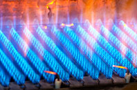Boswin gas fired boilers